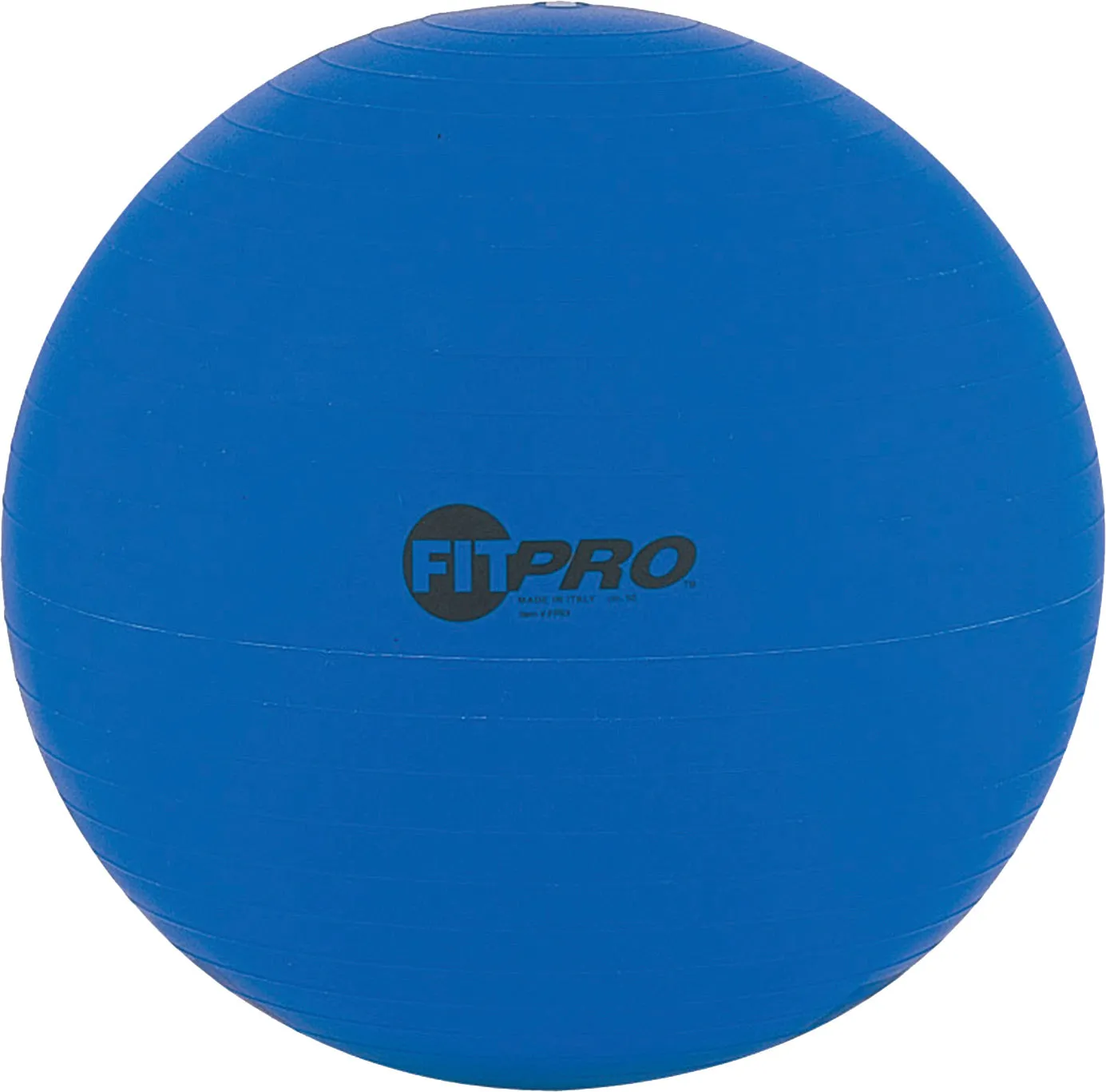 Champion Sports Fitpro Training/Exercise Ball