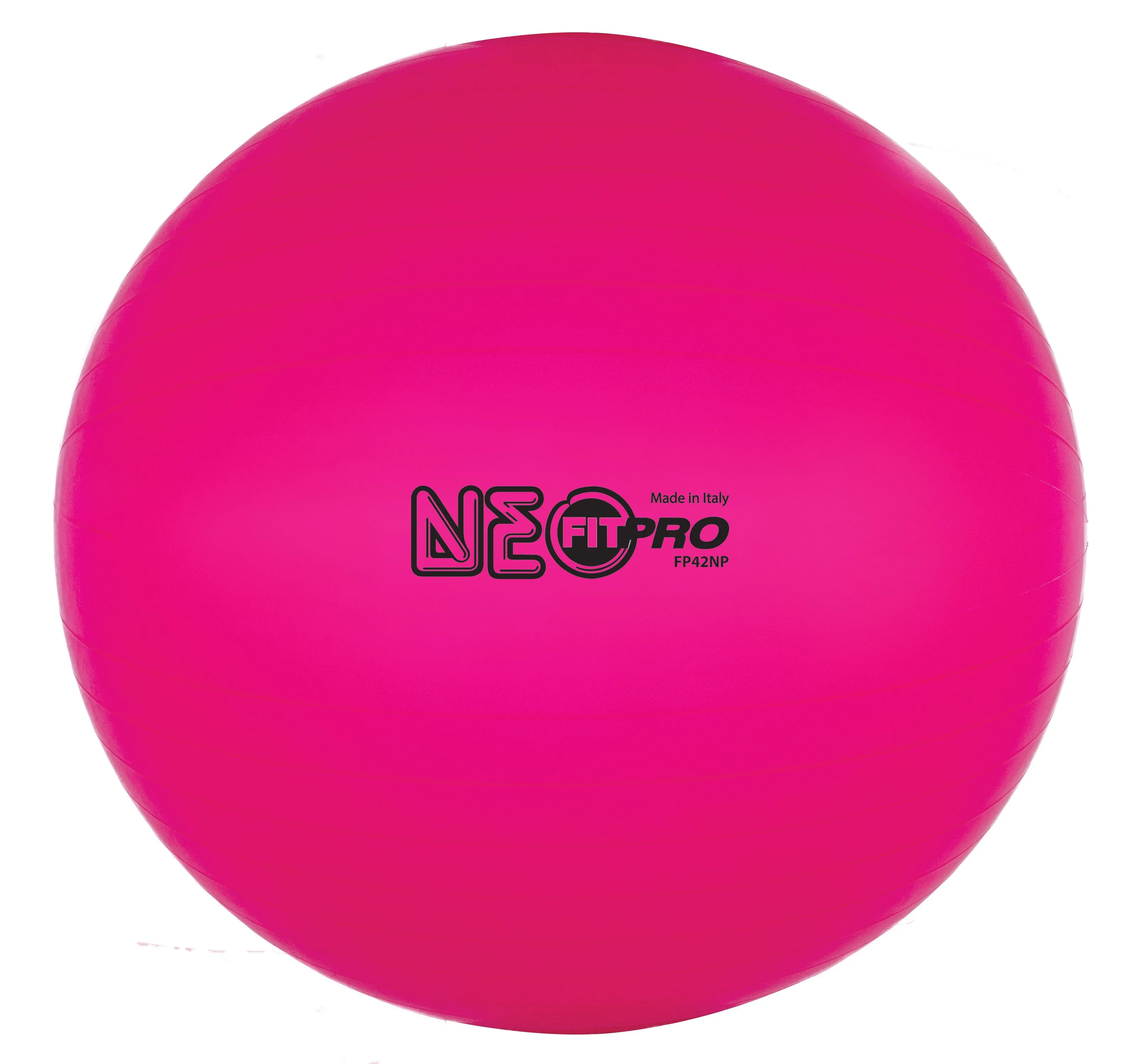 Champion Sports Fitpro Training/Exercise Ball