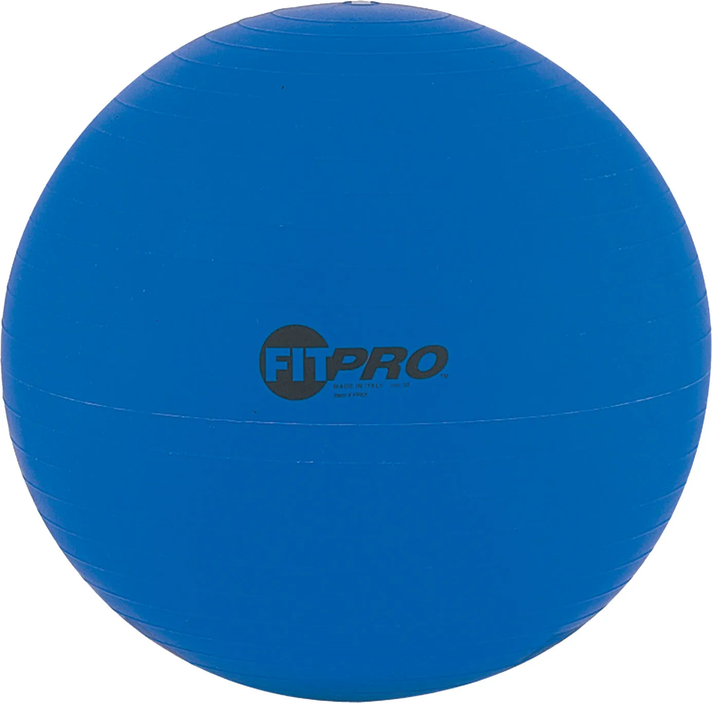 Champion Sports Fitpro Training/Exercise Ball