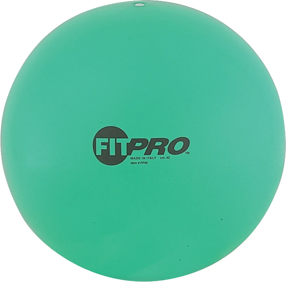 Champion Sports Fitpro Training/Exercise Ball