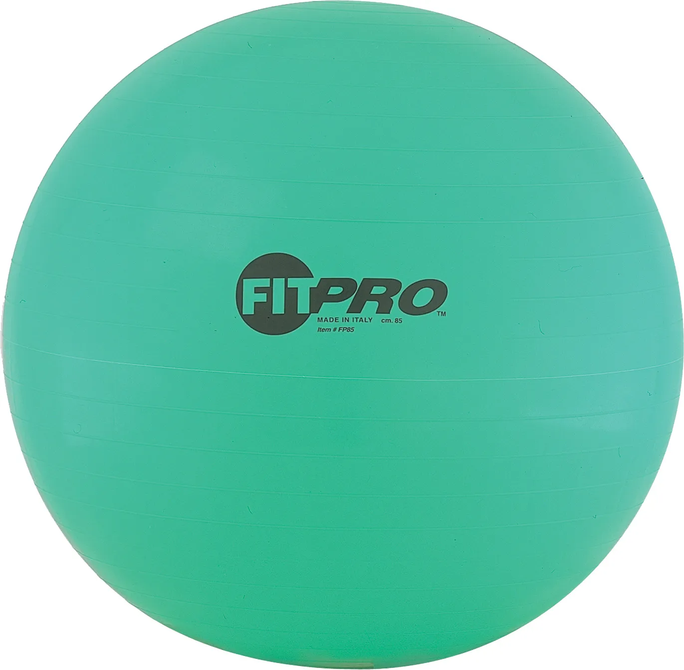 Champion Sports Fitpro Training/Exercise Ball