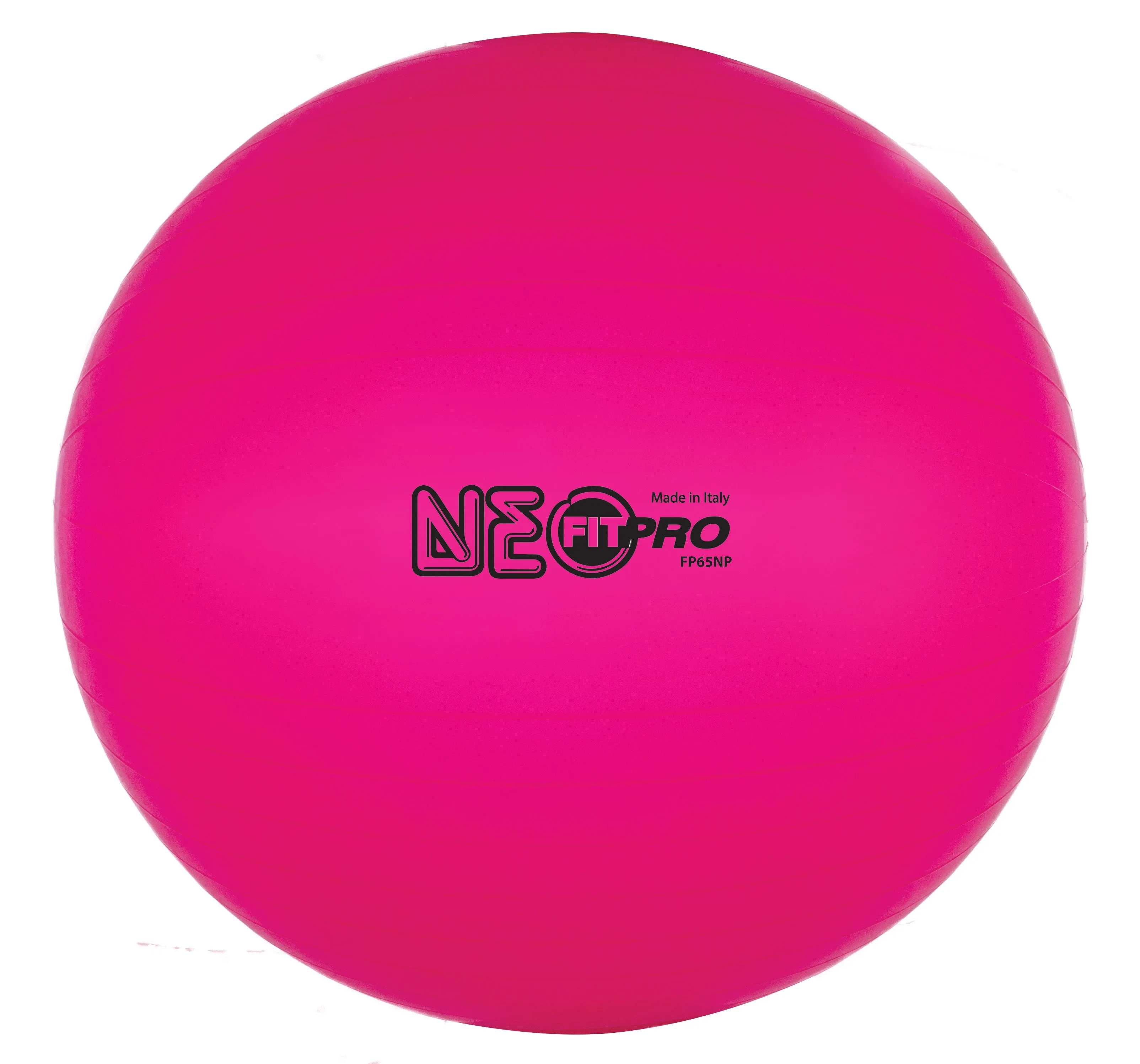 Champion Sports Fitpro Training/Exercise Ball