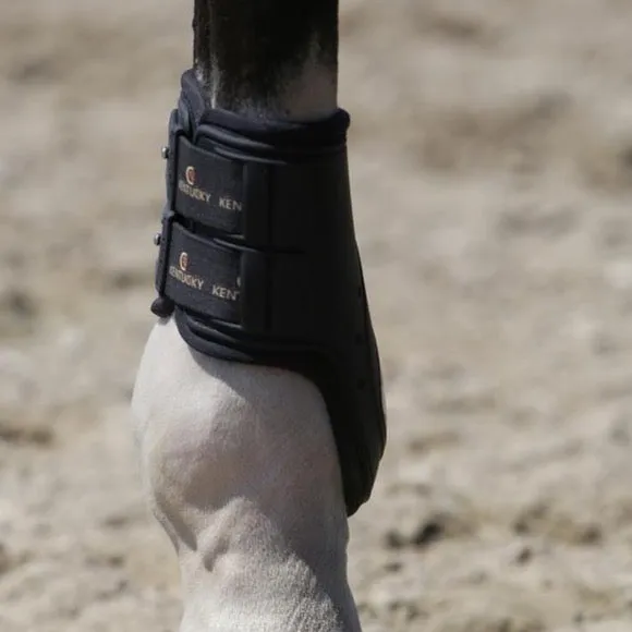 Fetlock Boots Elastic