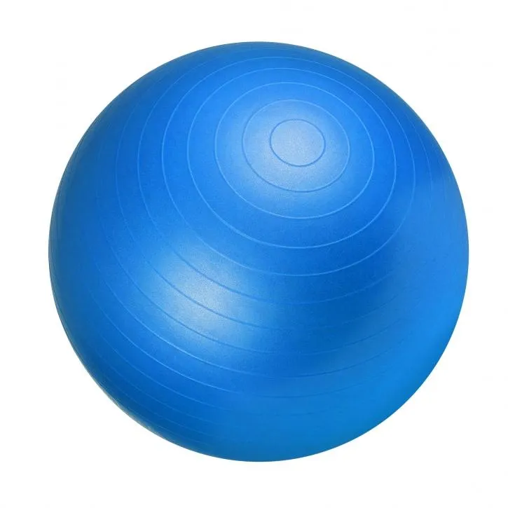 Gym Ball Fitness Ball 65cm - Blue