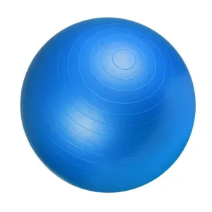 Gym Ball Fitness Ball 65cm - Blue