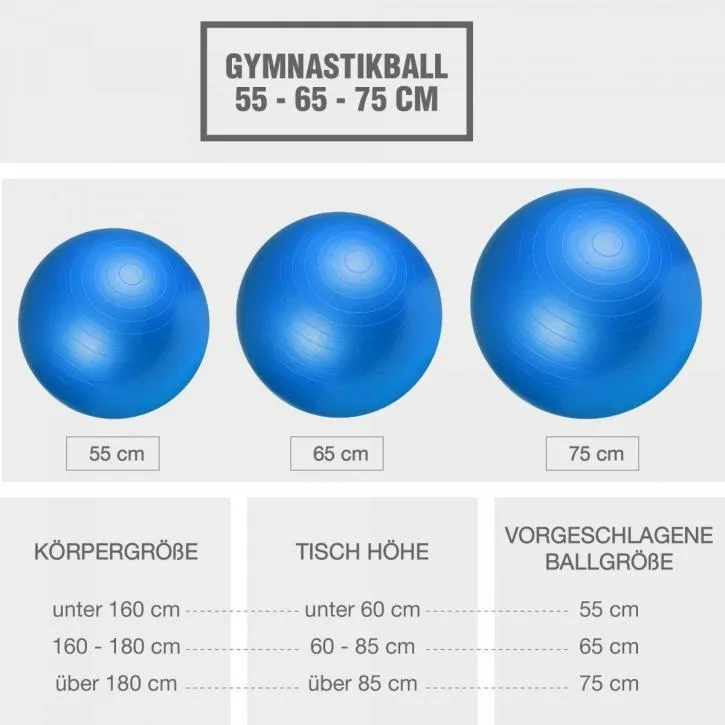 Gym Ball Fitness Ball 65cm - Blue