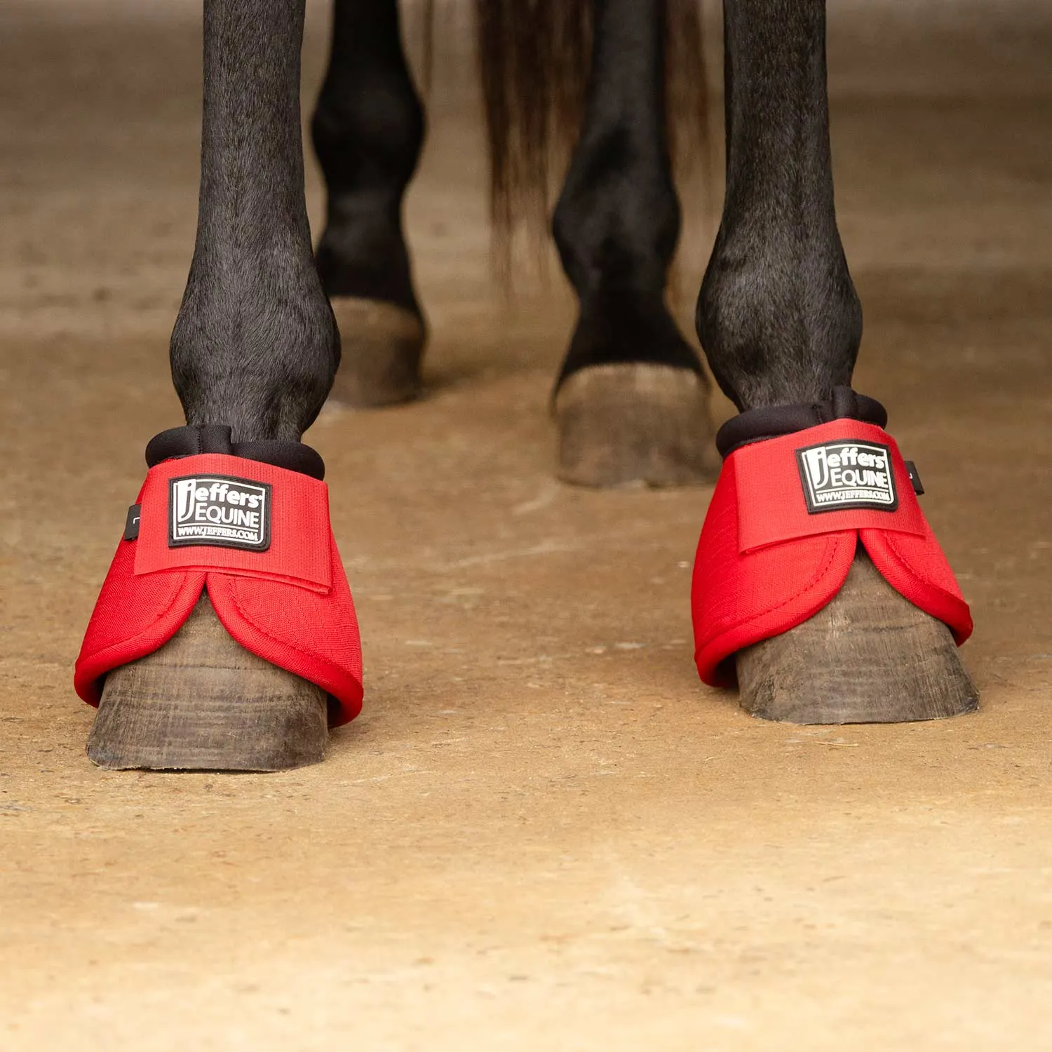 Jeffers Bell Boots for Horses