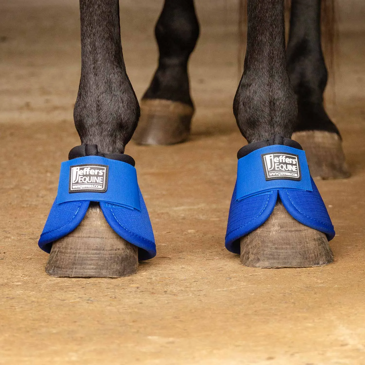 Jeffers Bell Boots for Horses