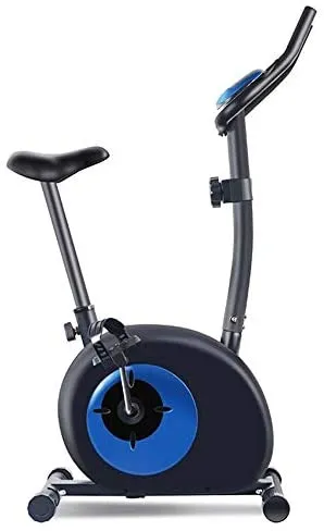 Nashua Upright Exercise Bike